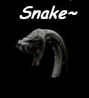 Snake